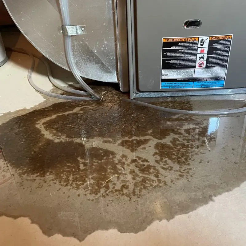Pipe Burst and Leak Restoration in Maria Antonia, PR