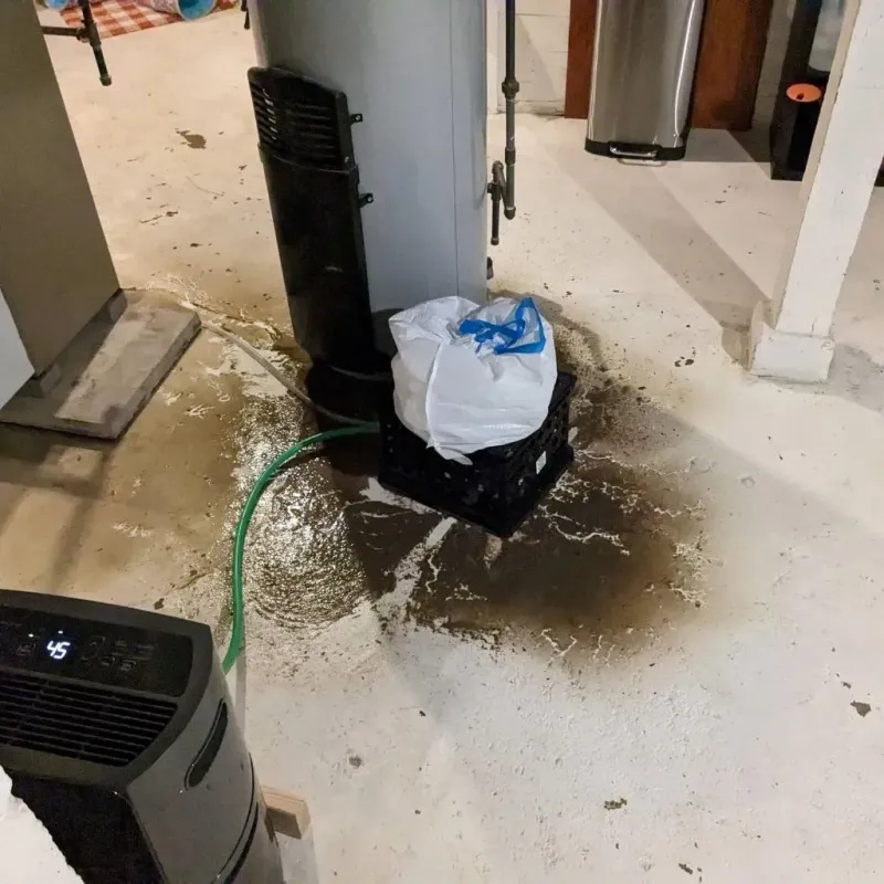 Sewage Backup Cleanup Service in Maria Antonia, PR